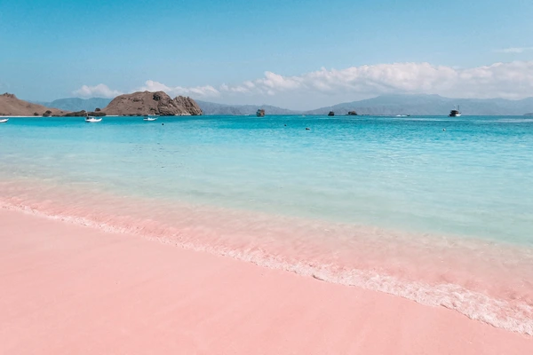Exotic pink beach