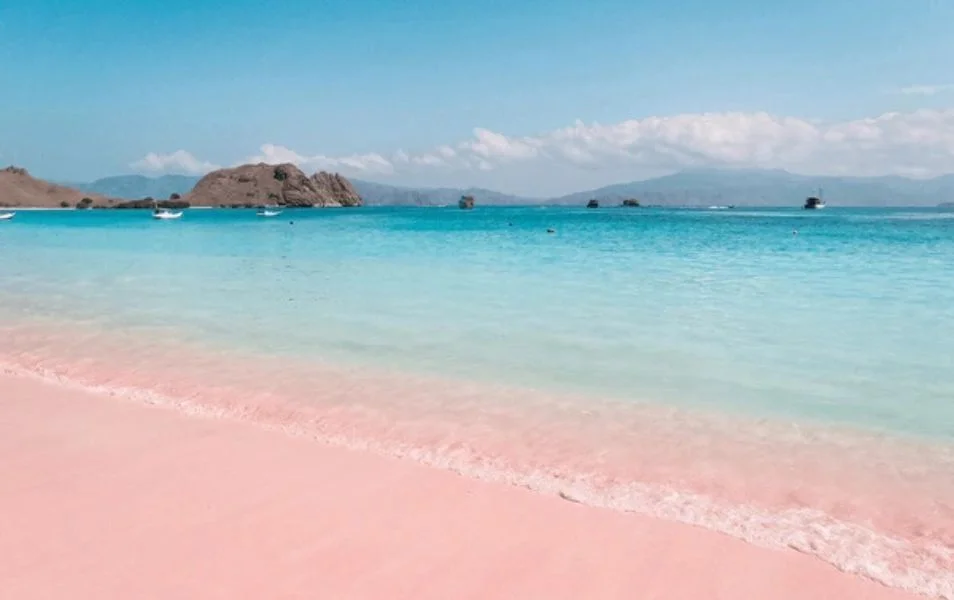turquoise beach with pink sand